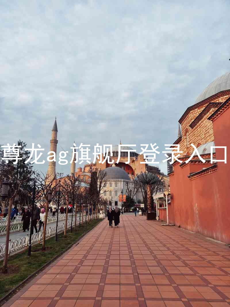 尊龙ag旗舰厅登录入口